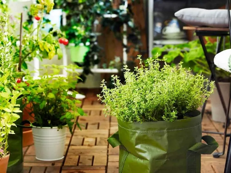 Ikea giardino