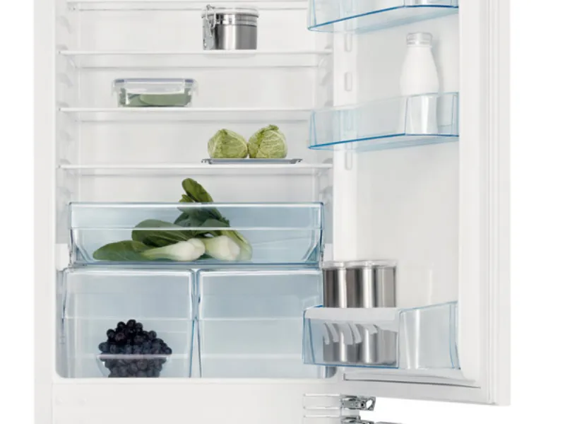 interno frigocongelatore Electrolux