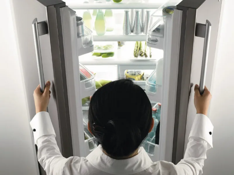 frigo doppia porta Electrolux
