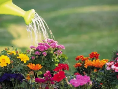 annaffiare il giardino