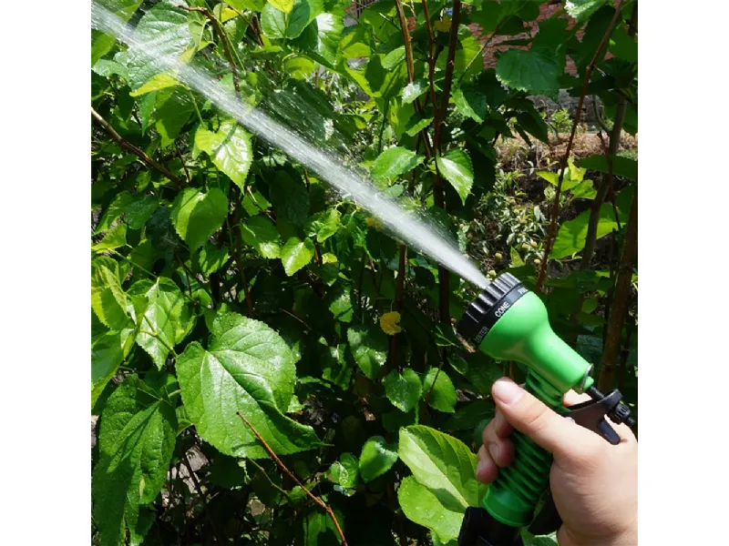 lancia da giardino