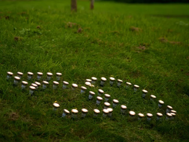 numero cinquanta fatto coi led