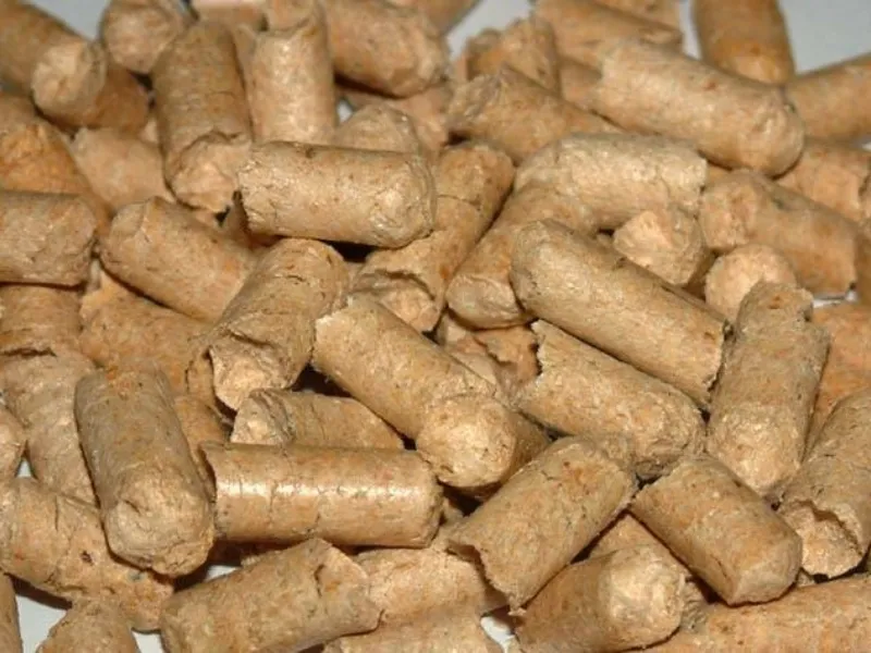 Pellet di legno