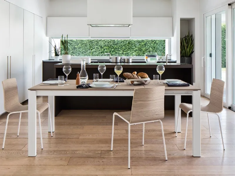 Sedia in metallo On-line Calligaris