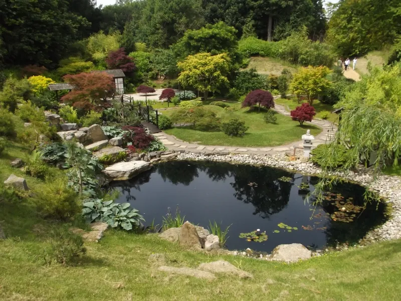 Un laghetto da giardino