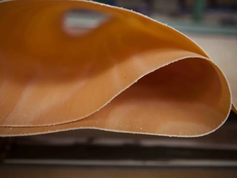 dettaglio di foglio di legno ripiegato su sé stesso