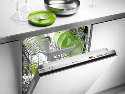 lavastoviglie rex electrolux techna green