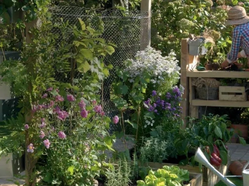 Leroy Merlin catalogo giardino