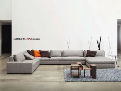 Ligne Roset divani salotti