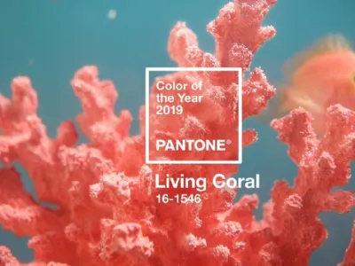Living Coral Pantone