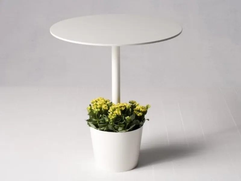 tavolino little garden Moroso