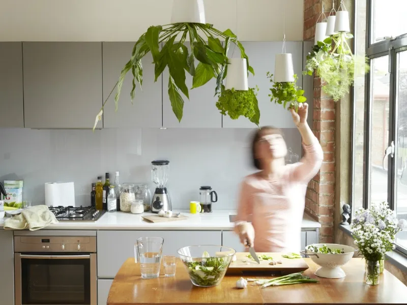orto in cucina