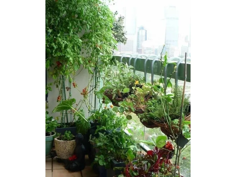 Orto verticale sul balcone