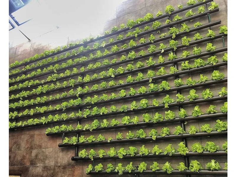 giardino verticale