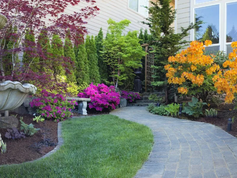 Piante sempreverdi da giardino: i vantaggi