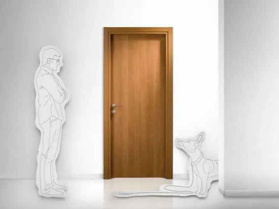 Porta per interno economica