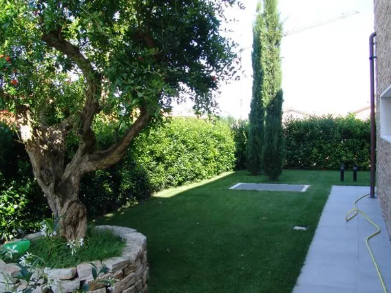 giardino moderno