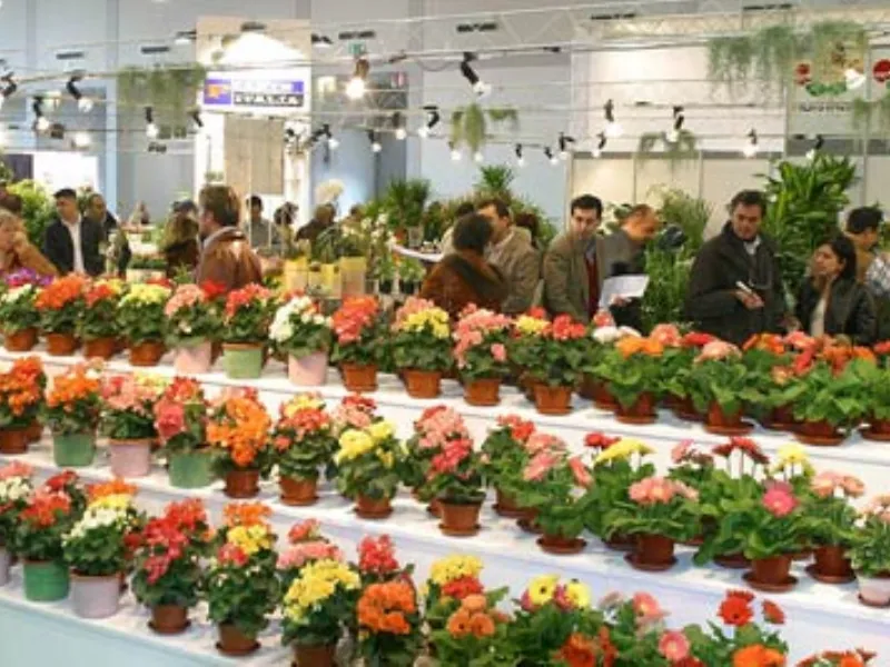 piante di fiori