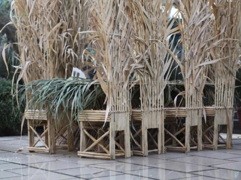 Sedie di bamboo