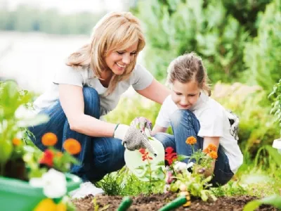 Come progettare un giardino
