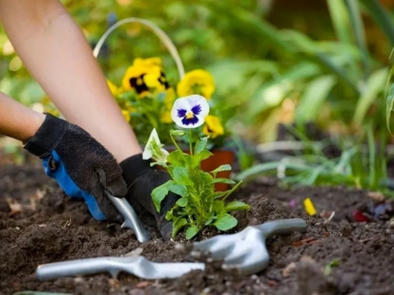 Progettare un giardino fai da te