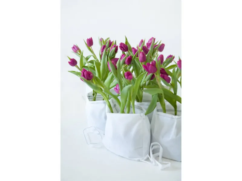vasi fiori
