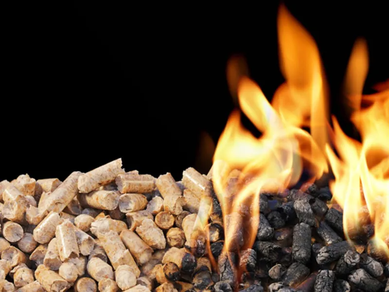 Legno in pellet