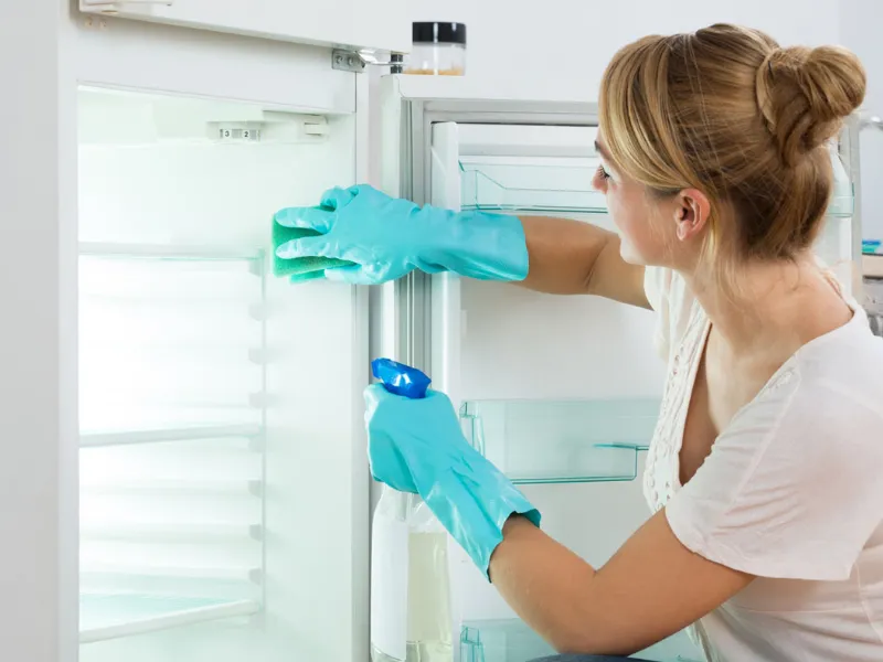 Come pulire il freezer