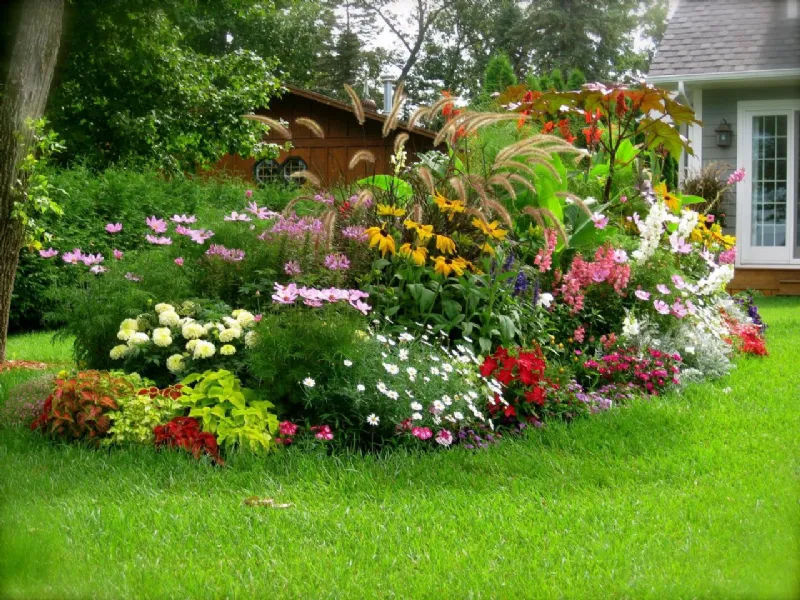 aiuola da giardino fiorita