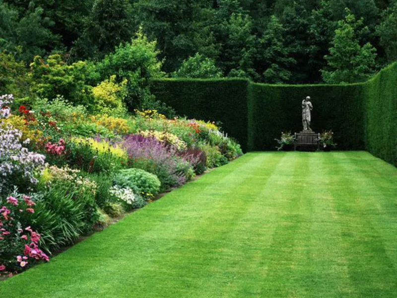 siepe da giardino