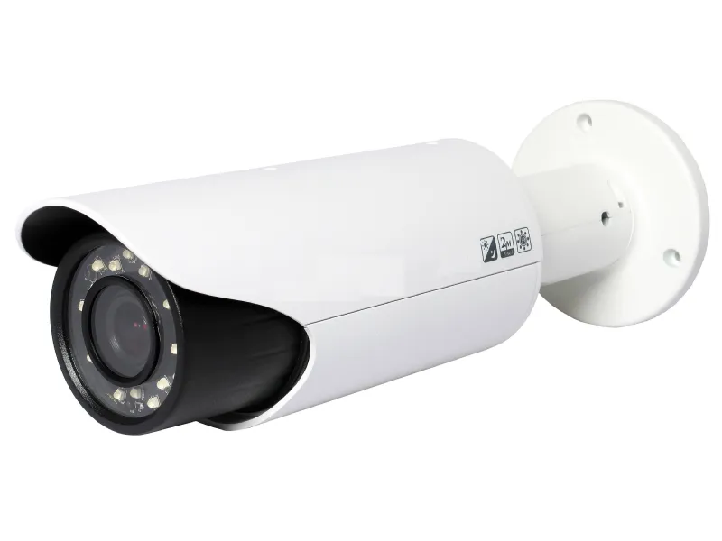 Videocamera di sorveglianza