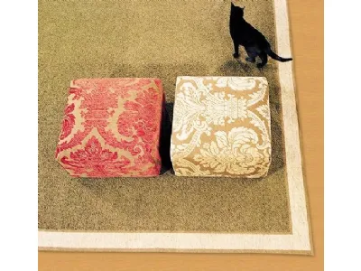 Tappeto classico con gatto seduto sopra