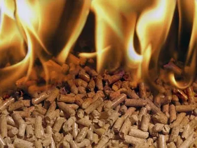 Pellet