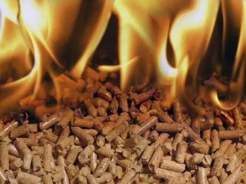 Pellet