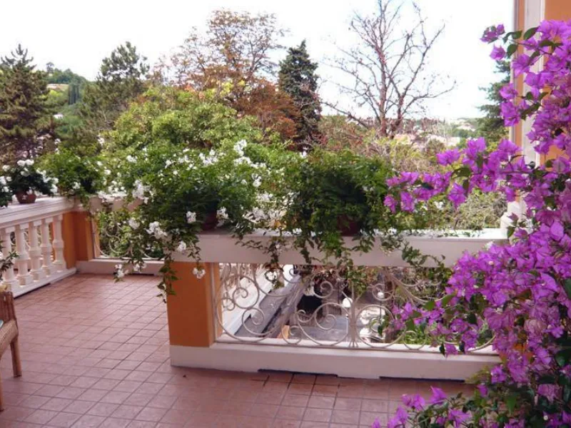 terrazzo