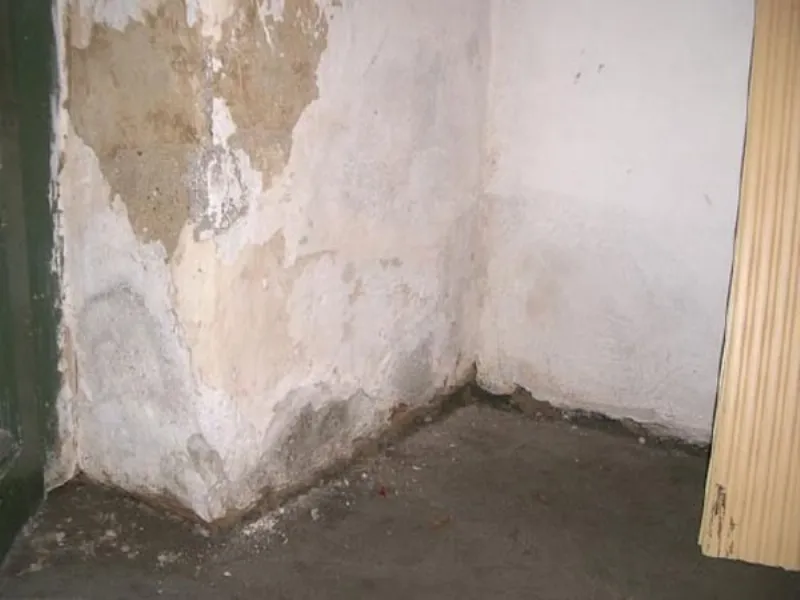 umidità in casa