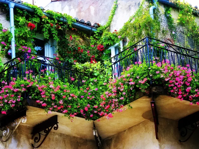 Balcone fiorito