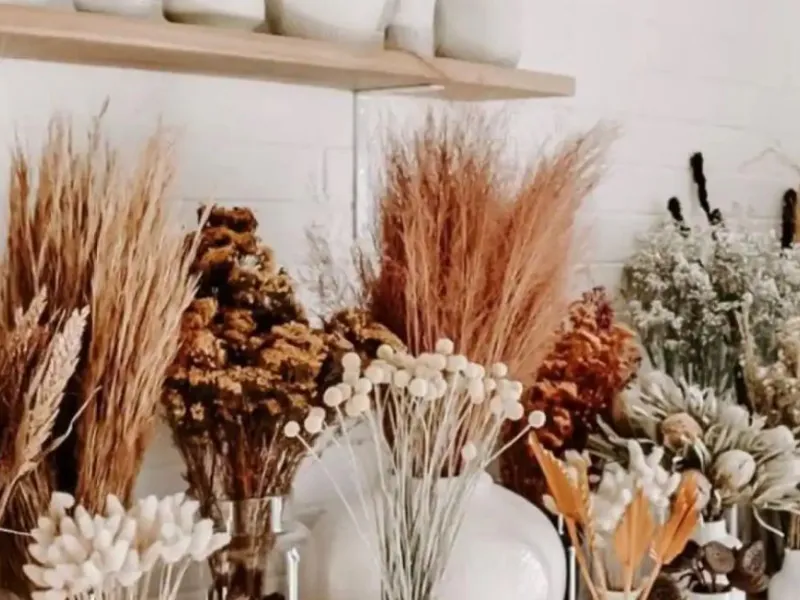 Vasi in ceramica con fiori secchi