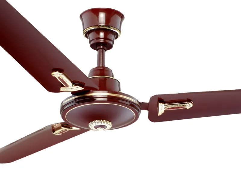 Ventilatori a soffitto