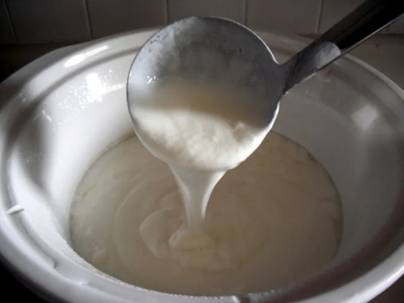 yogurtiera